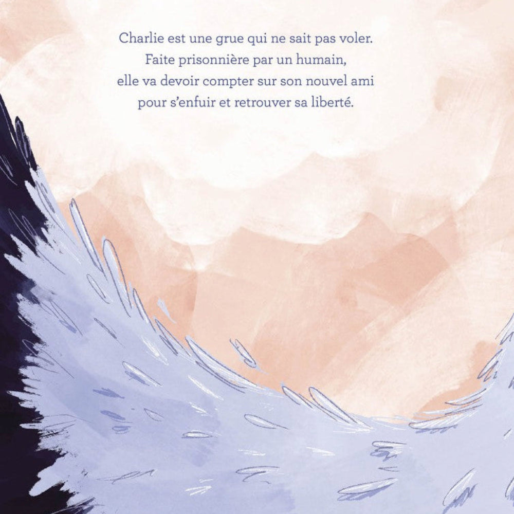charlie-crane-l-envol-auzou-livre-enfants-d-s-3-ans image 3