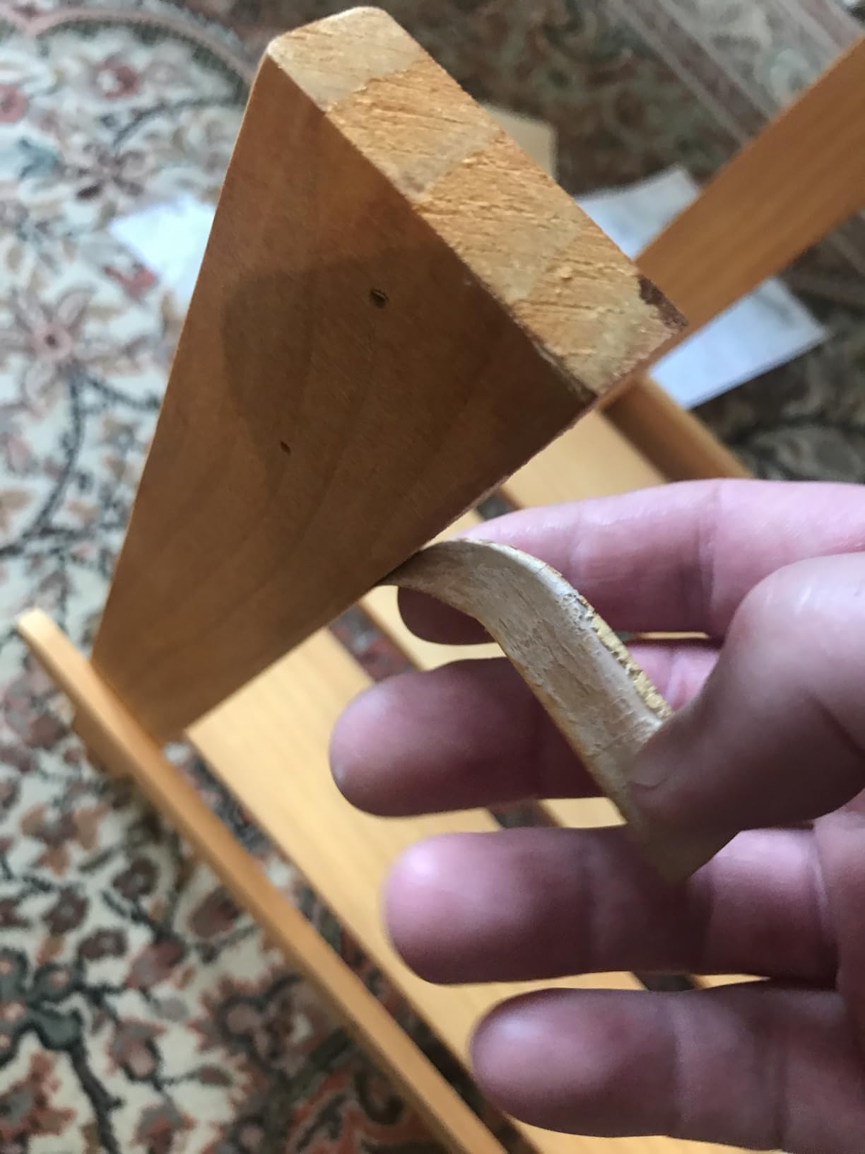 Super cuisine d'extérieur