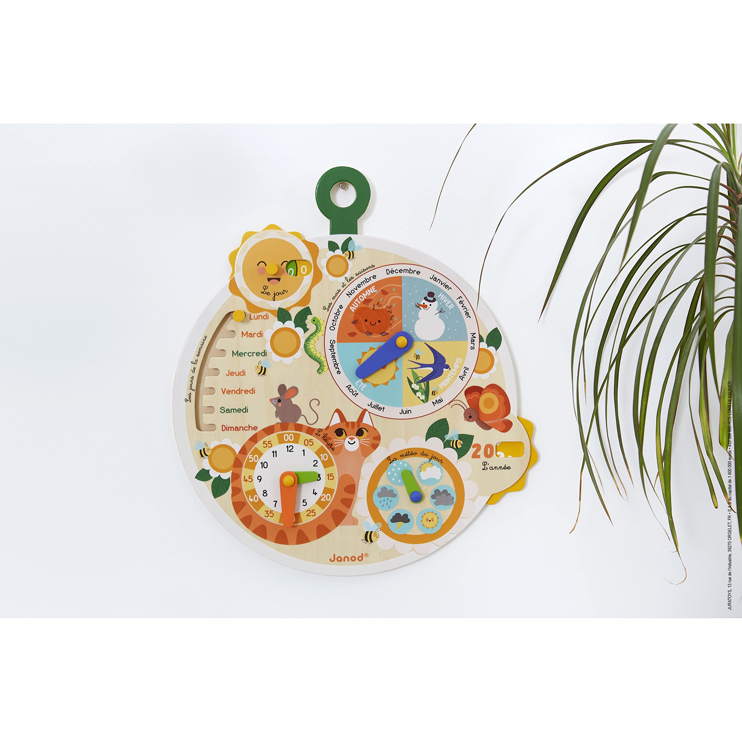 janod-roue-du-temps-en-bois-fsc-j09623-calendrier-ducatif-d-s-3-ans image 4
