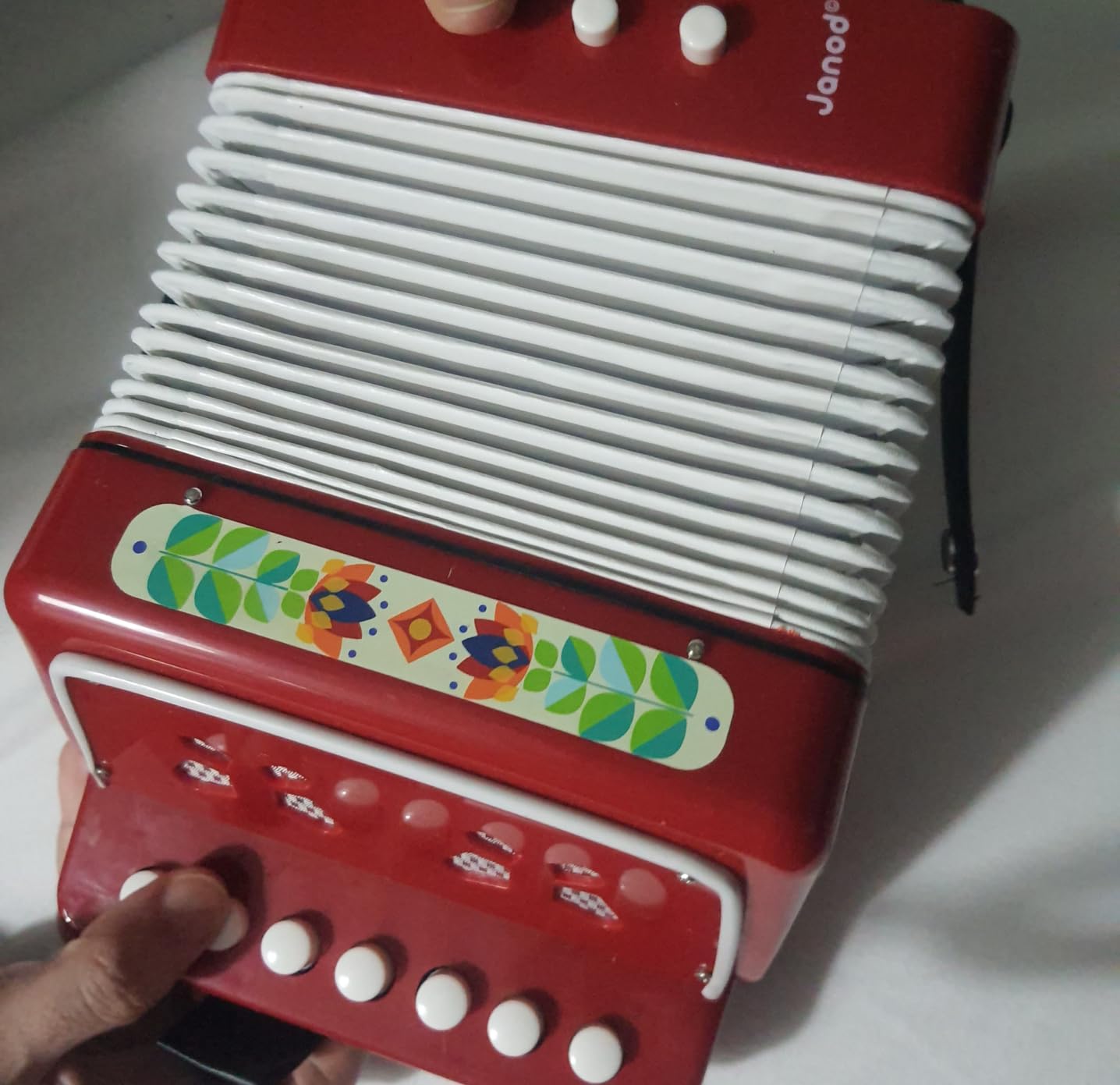 Petit accordéoniste en herbe
