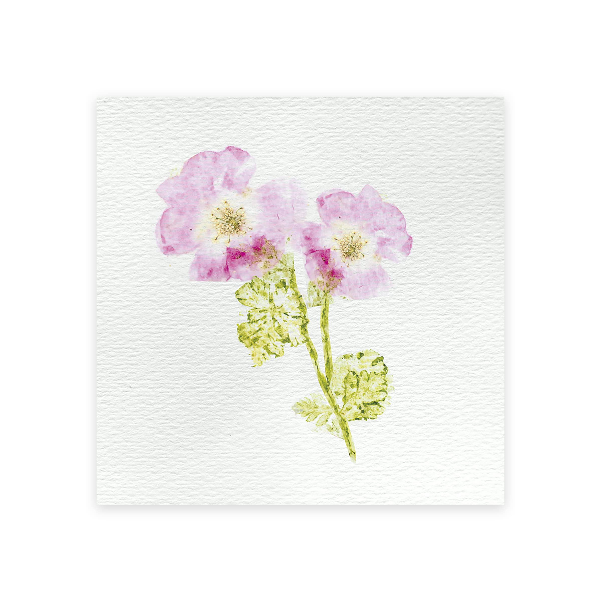janod-les-ateliers-d-co-j07879-kit-presse-fleurs-enfant-6-activit-s image 3