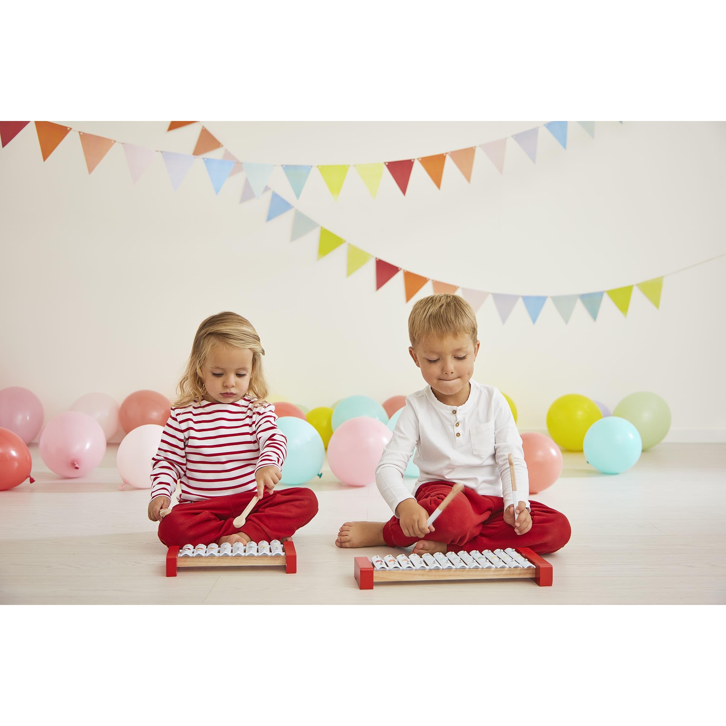 janod-j07604-xylo-m-tal-en-bois-confetti-12-tons-instrument-de-musique-enfant-av image 8