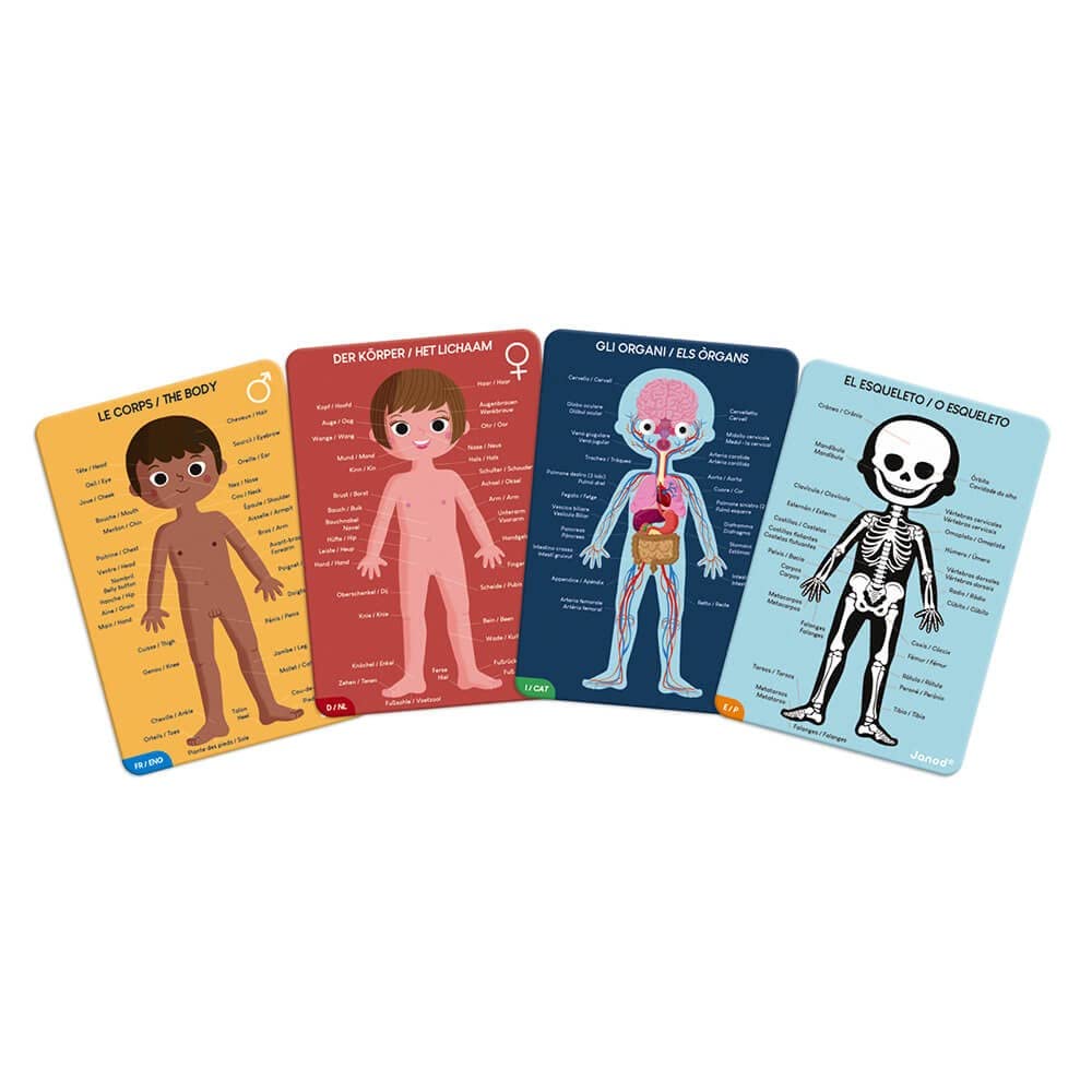 janod-j02681-coffret-4-puzzles-g-ants-corps-humain-50-100-pi-ces-d-s-5-ans image 5