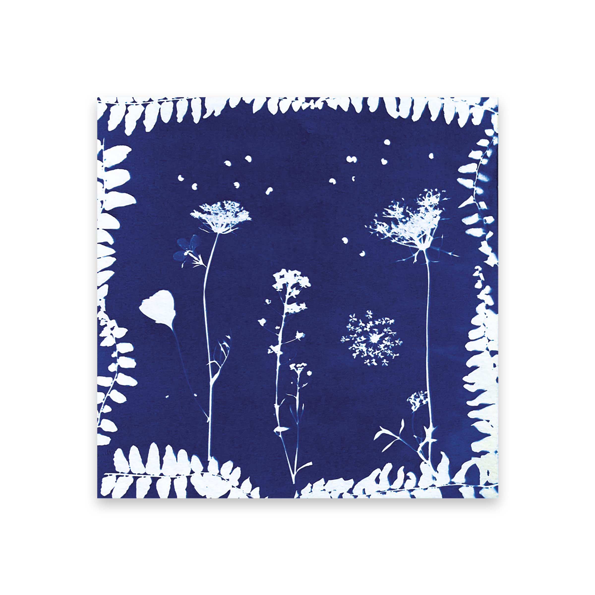 janod-les-ateliers-d-co-j07879-kit-presse-fleurs-enfant-6-activit-s image 7